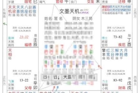 紫薇斗数禄倒