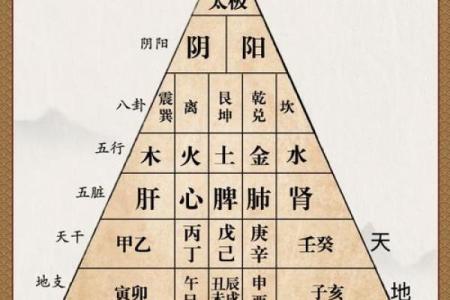 十个数字，揭示易经风水、命理八字等术数的本质奥秘！_1