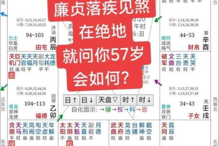 算命免费紫薇斗数