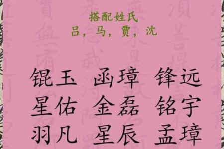 宝宝八字缺金爸爸姓叶男孩名字