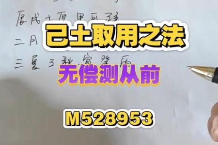 盲派八字免费算命