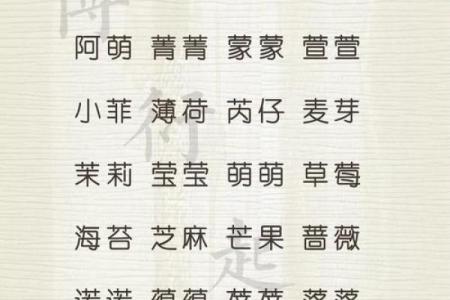 兔年男孩子起名字大全-兔年起名字姓名