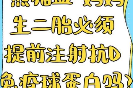 血型中rh阴性是什么意思