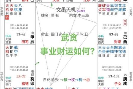 紫薇斗数事业详细解释