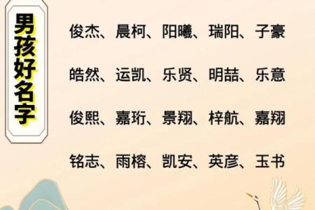 2019年4月11号子时出生的男孩如何起名姓名