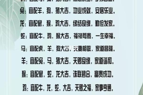 姓名生肖配对查询大全 生肖姓名学测试？