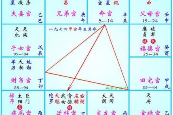 辰宫紫薇斗数