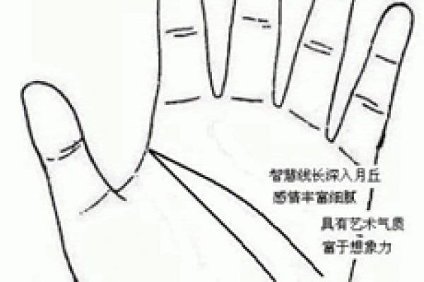 为什么科学算命听起来耸人听闻，却有那么多人相信？