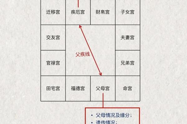 紫微斗数基本知识,紫微斗数常识