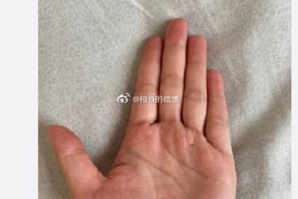 车站算命的