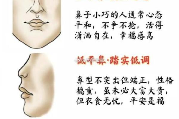 算命中鼻头大好吗
