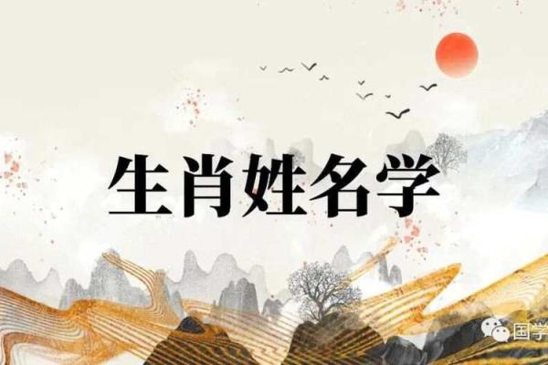 二月份出生属马的男孩该取什么名字姓名