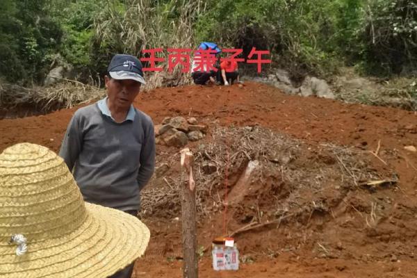 壬丙兼子午阳宅风水