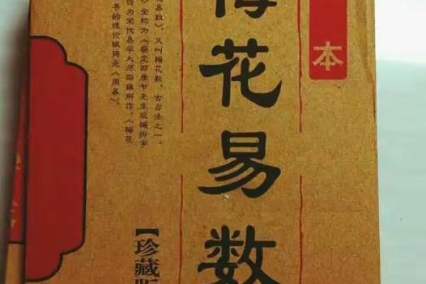 名字测试来生姻缘