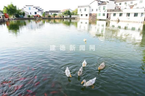 臭水塘房子风水讲究图片