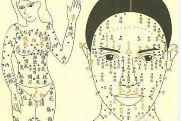 女人有黑观音痣 下巴的痣房屋多