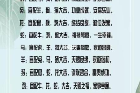 姓名生肖配对查询大全 生肖姓名学测试？
