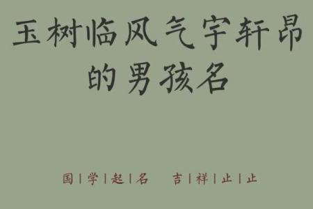 2019年5月4号寅时出生的男孩应该起什么样的名字姓名
