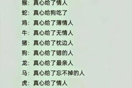 星座和什么属相最合适