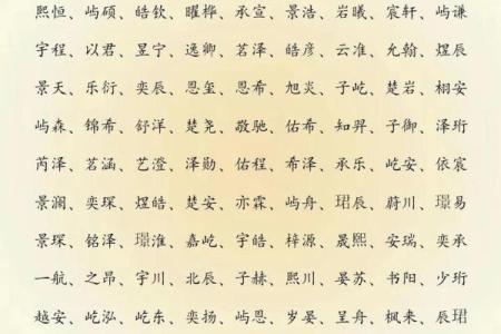 2019年3月17号丑时出生的男孩起名方法姓名