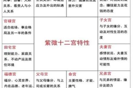 紫薇斗数看何时买车