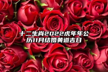 虎年2024年农历十一月十五日是不是出行吉日？