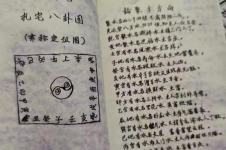 揭秘精神病与阴阳宅风水关系！_1