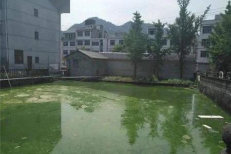 臭水塘房子风水讲究图片