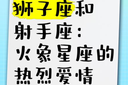 狮子座跟射手座配对好吗男