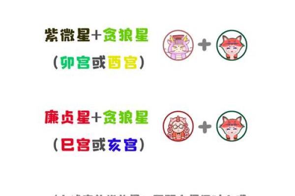 紫薇斗数星耀太多