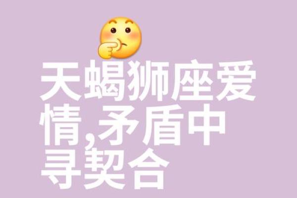 最佳合伙人的天蝎座配对
