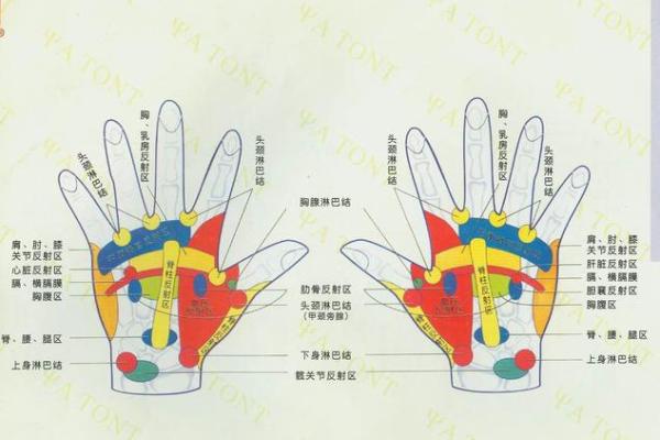 怎么用手算命
