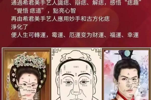 鼻头大的男人面相在风水中有哪些含义