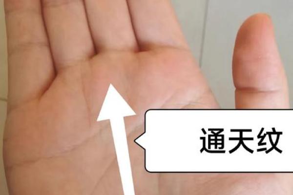 什么是八字掌,八字掌的标准手型是什么