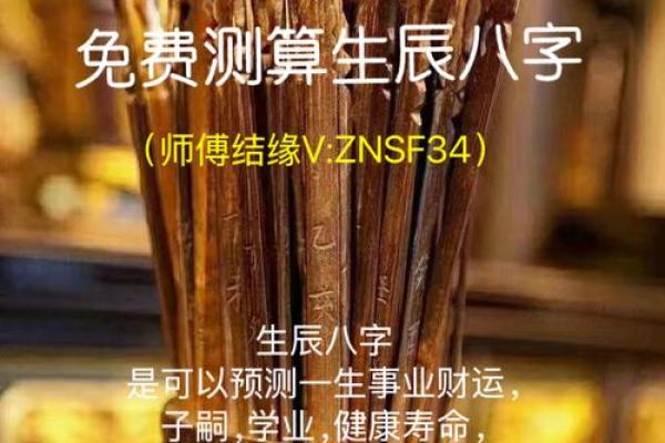 八字命盘软件哪个准