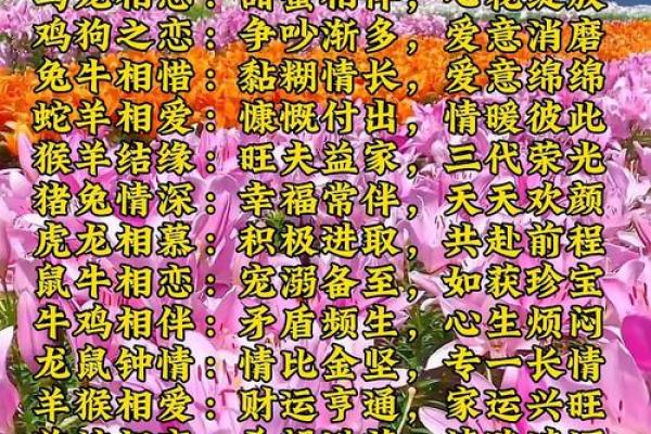 姓名配对测姻缘有用吗 姓名配对测试婚姻缘分长久？