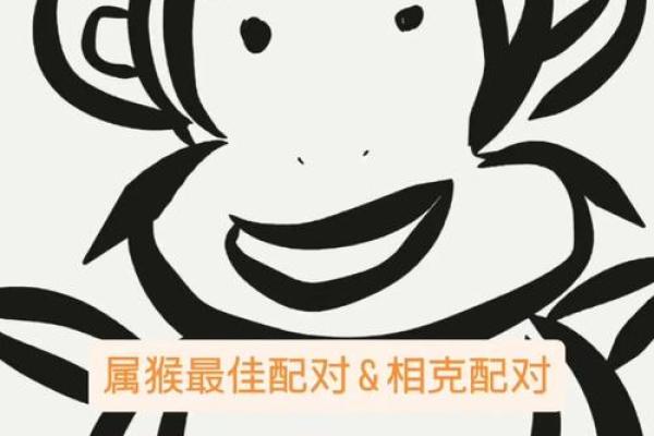 注定成为敌人的属相配对