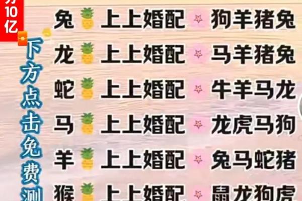 女马男蛇生肖配对姻缘