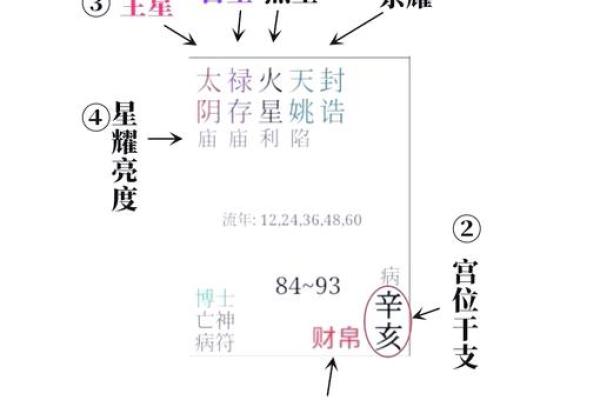 紫薇斗数看财富自由