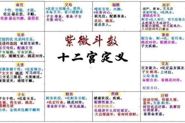 紫微斗数关系 紫微斗数看关系？