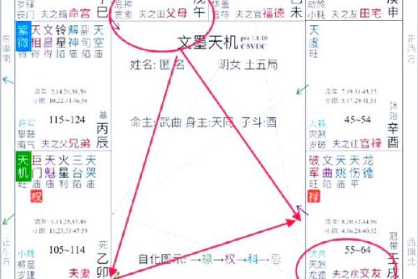 紫微斗数流月怎么看财运 紫微斗数流月运势怎么看？