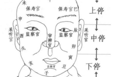 如何从下巴看相算命