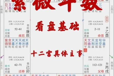 紫微斗数紫薇星落入什么宫