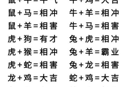 1999年属什么生肖配对