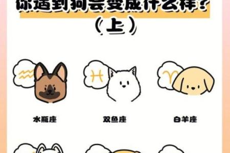 哪些狗狗属于你的星座？