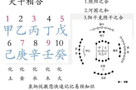 八字偏硬什么意思
