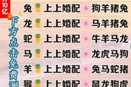 女马男蛇生肖配对姻缘