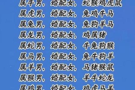 属牛和属蛇的相合配对指数