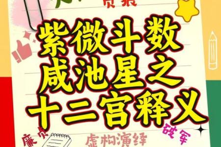 紫微斗数之疾厄宫在戌宫，是什么意思？