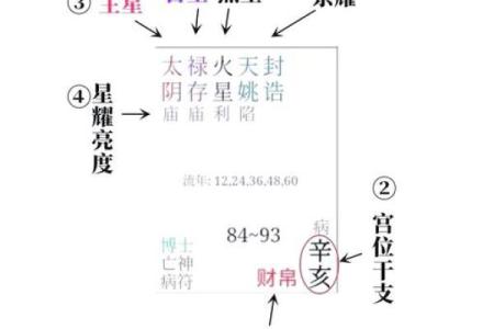 紫薇斗数看财富自由